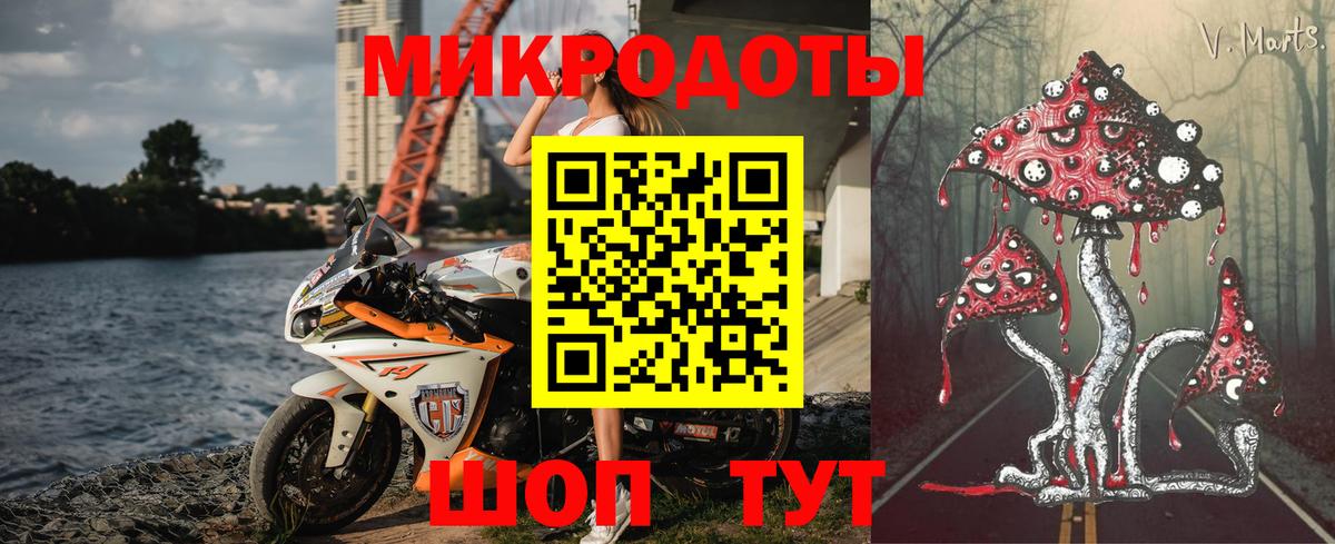 закладки  Вход с VPN  Михайловск  Галлюциногенные грибы Magic Shrooms 